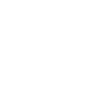ARIO-RIAO