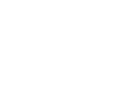 ARIO-RIAO